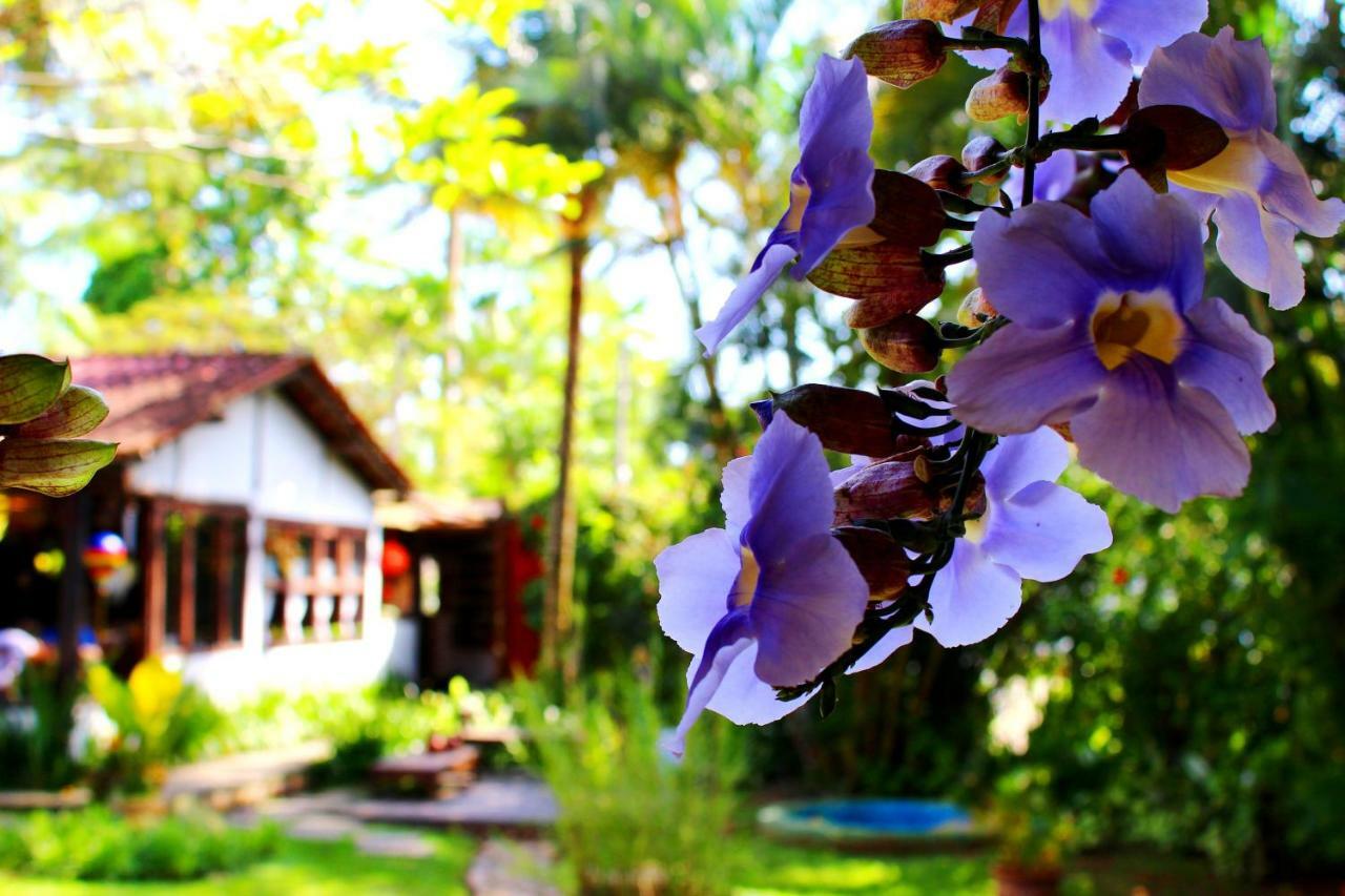 Recanto Das Andorinhas Studios Paraty Exterior foto